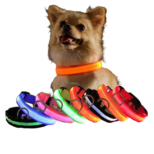 LED Adjustable Dog Collar with Blinking & Flashing Lights – Glow in the Dark, Waterproof & Safe for Pets